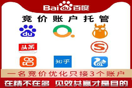 SEM竞价代运营公司经典案例解析